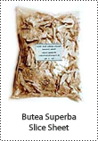  Butea Superba Slice Sheet
